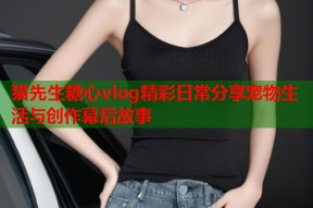 猫先生糖心vlog精彩日常分享宠物生活与创作幕后故事