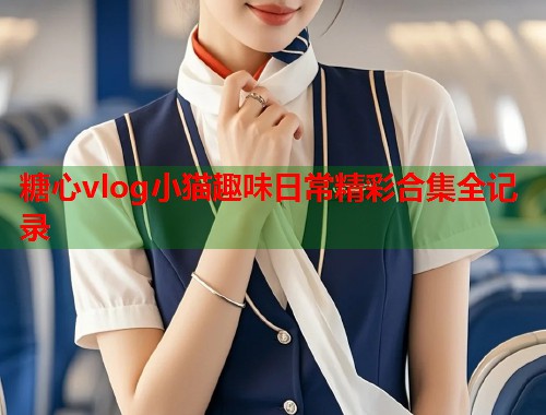糖心vlog小猫趣味日常精彩合集全记录  第1张