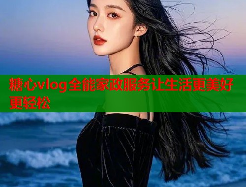 糖心vlog全能家政服务让生活更美好更轻松  第2张